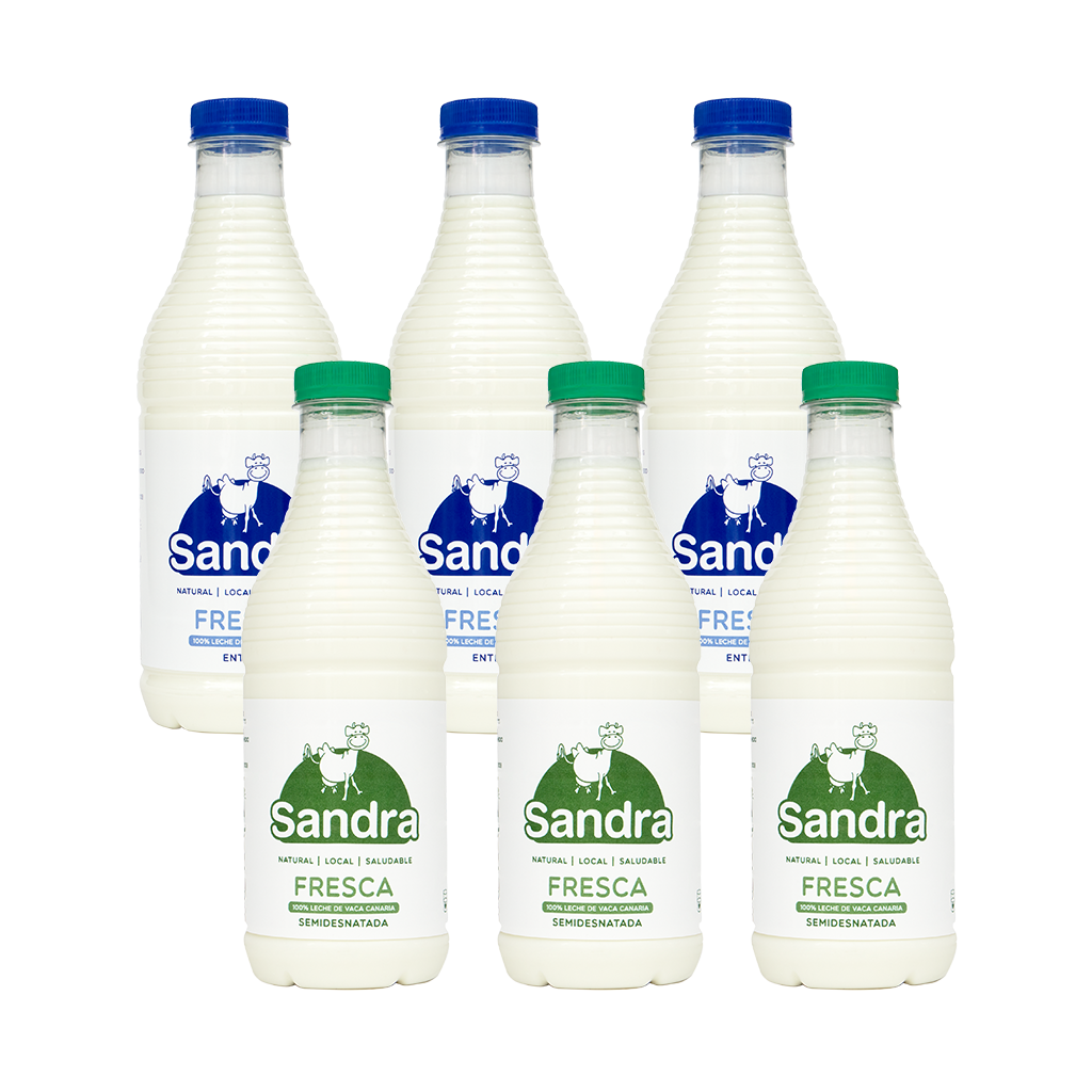 Caja Variada Leche SANDRA (6 unidades)